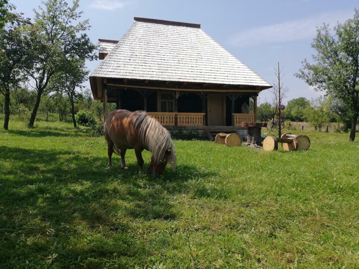 Апартаменты Casuta Din Gradina Breb Экстерьер фото